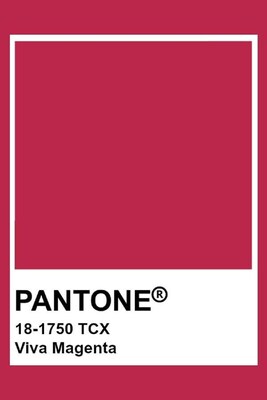 2023 Yılının Pantone Rengi 