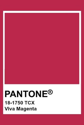 2023 Yılının Pantone Rengi