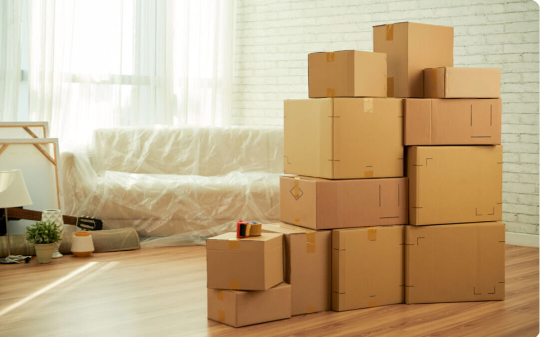 TAŞINMA <br> KOLİLERİ