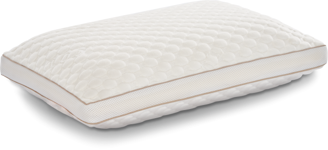 Visco Collagen Yastık - Zebra Casa (1)